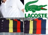 LACOSTE VINTAGE/Crocodilo Grande