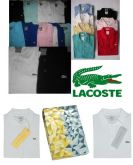 Polos Lacoste edição especial /Ouro e Prata